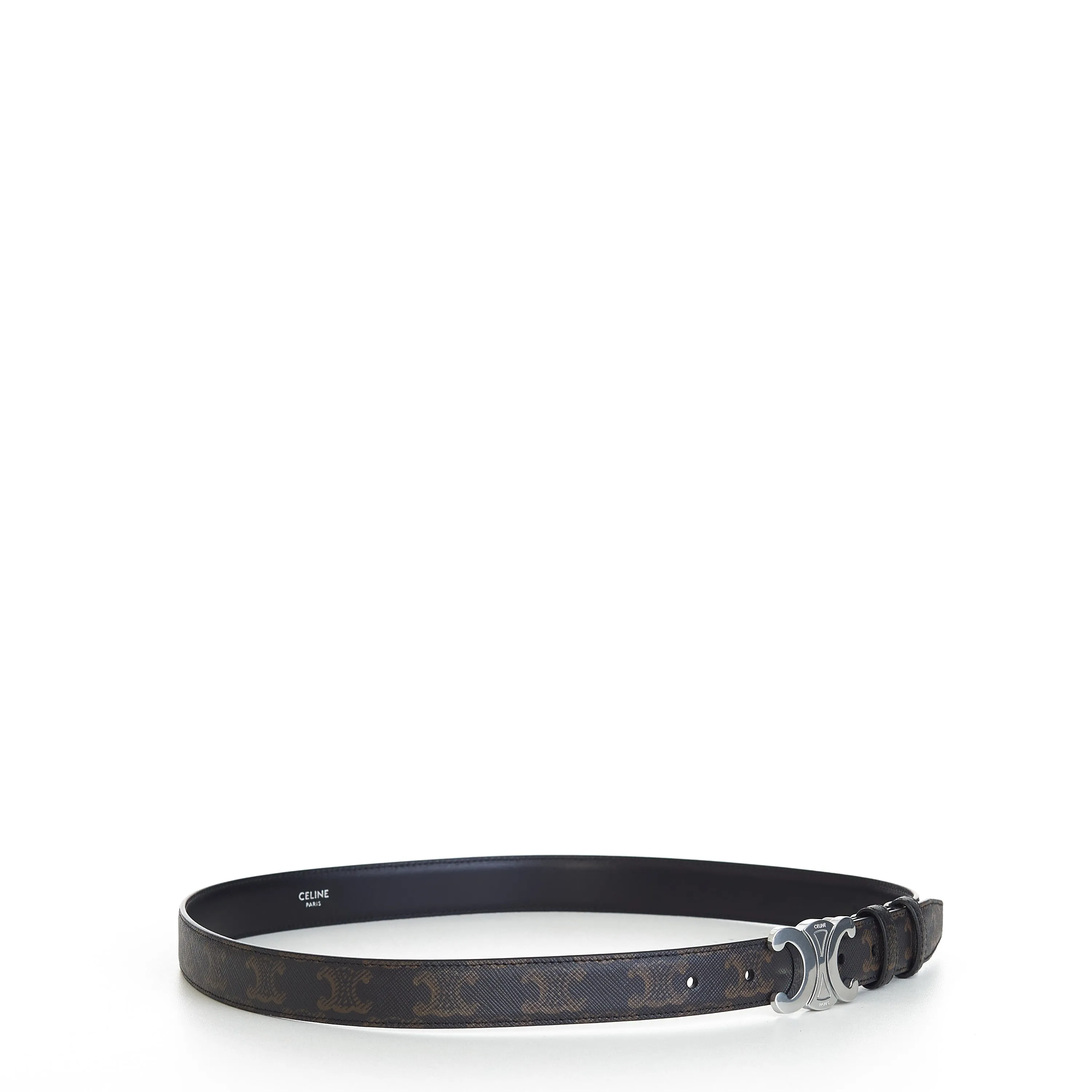 Medium Triomphe Belt In Brown Triomphe Canvas